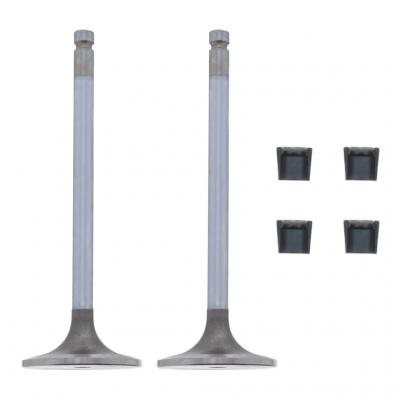 INTAKE VALVE KIT (Pack of 2)