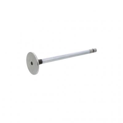 INTAKE VALVE