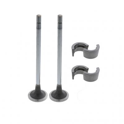 INTAKE VALVE KIT