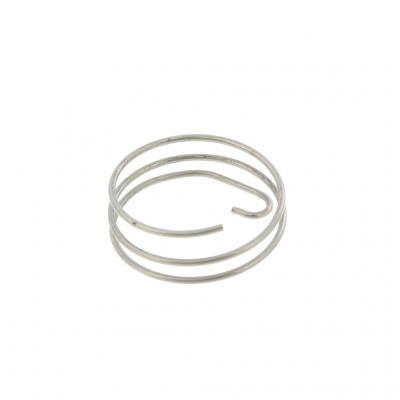VALVE SPRING (Pack of 10)