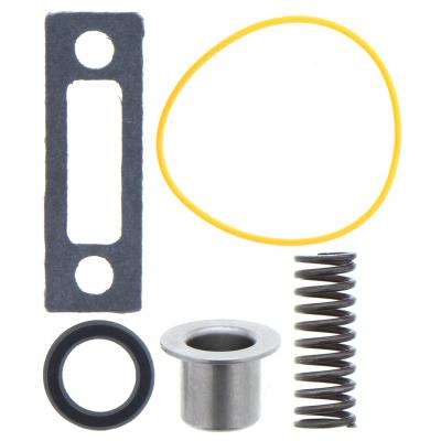 VALVE REPAIR KIT