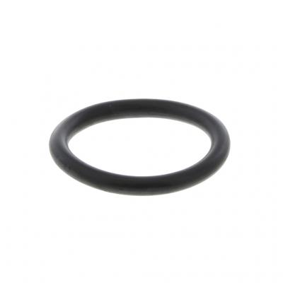 O-RING (Pack of 6)