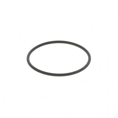 O-RING (Pack of 10)