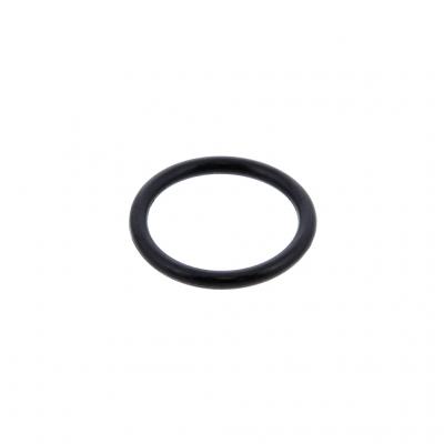 O-RING (Pack of 10)
