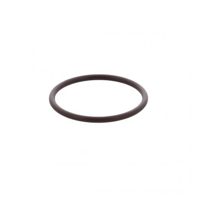 O-RING (Pack of 10)