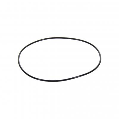 O-RING (Pack of 10)
