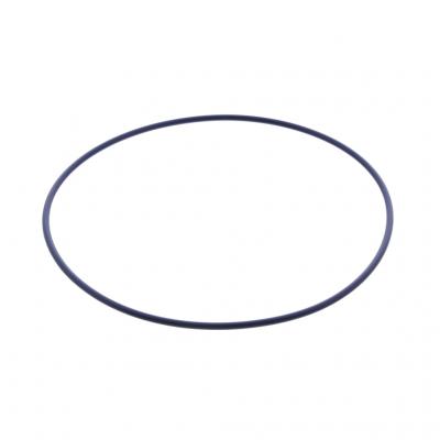 O-RING (Pack of 10)