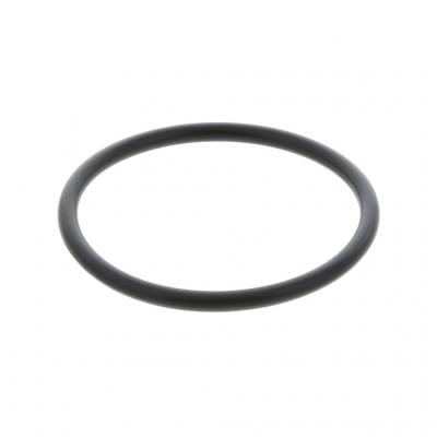 O-RING (Pack of 10)