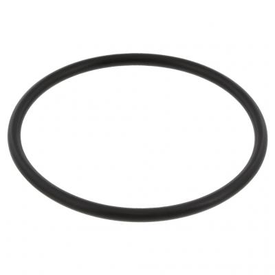 O-RING (Pack of 10)