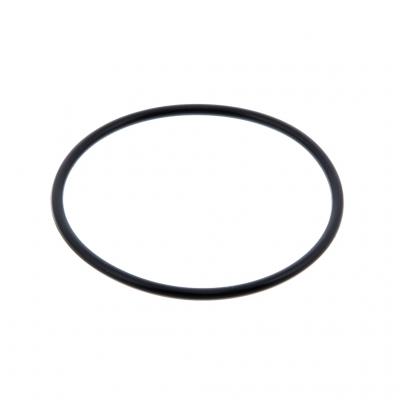 O-RING (Pack of 10)