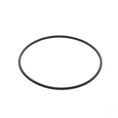 O-RING (Pack of 10)