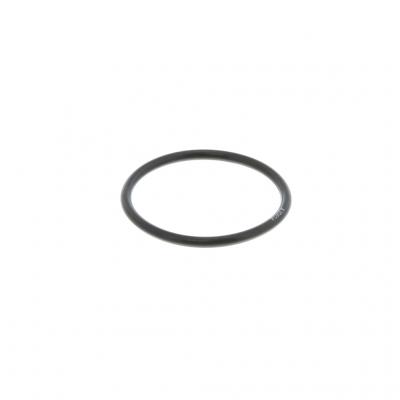 O-RING (Pack of 6)