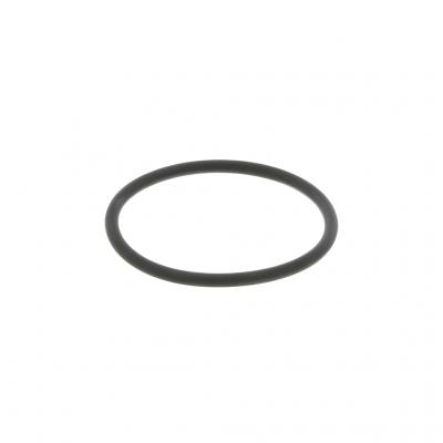 O-RING (Pack of 10)