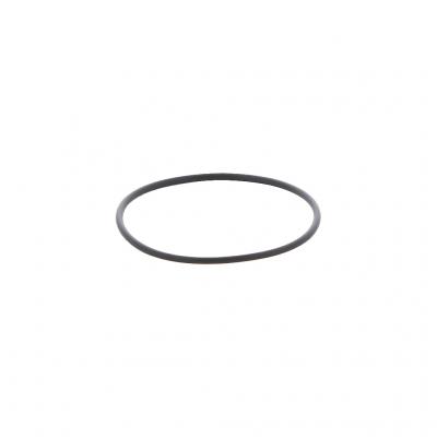 O-RING (Pack of 10)