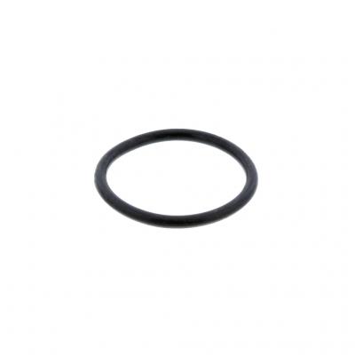 O-RING (Pack of 2)