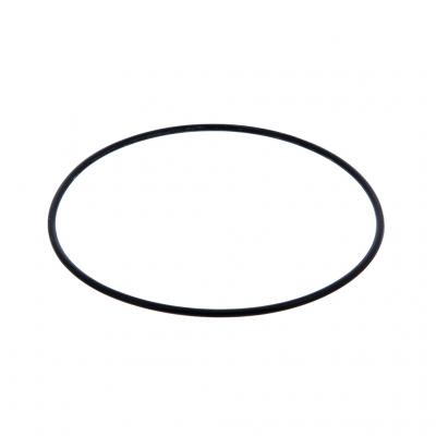 O-RING (Pack of 2)