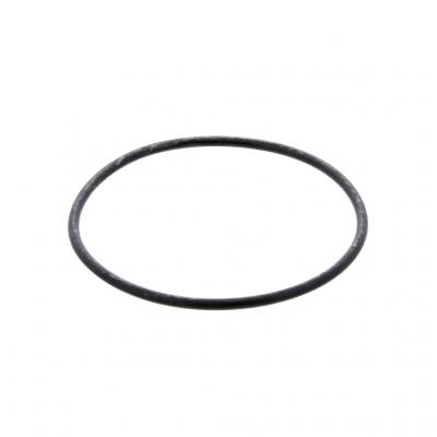 O-RING (Pack of 5)