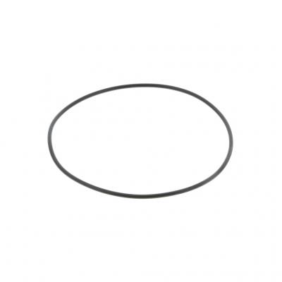 O-RING (Pack of 2)