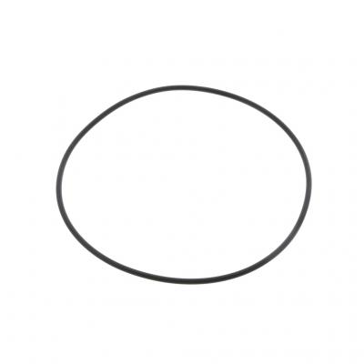 O-RING (Pack of 5)