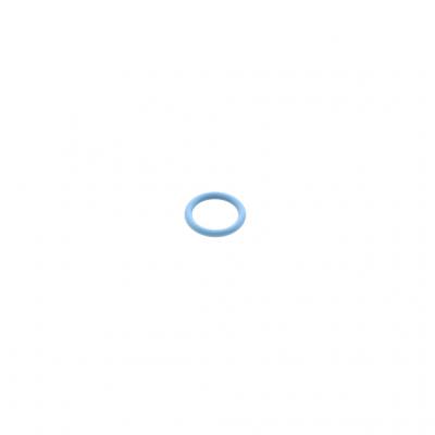 O-RING (Pack of 10)