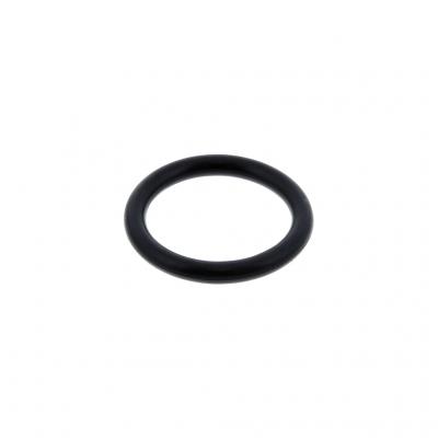 O-RING (Pack of 2)