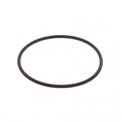 O-RING (Pack of 6)