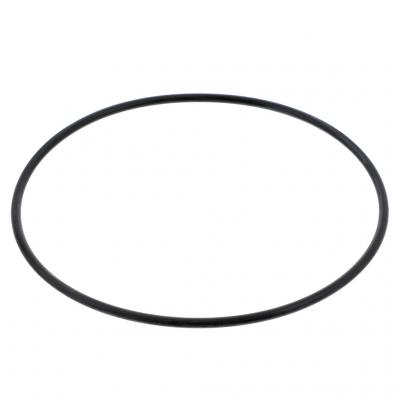 O-RING (Pack of 3)
