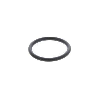 O-RING (Pack of 2)