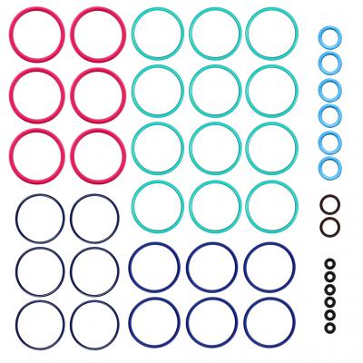 FUEL SYSTEM O-RING KIT
