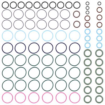 FUEL INJECTION O-RING KIT