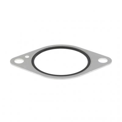 WATER CONNECTOR GASKET (Pack of 5)