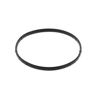 THERMOSTAT HOUSING GASKET