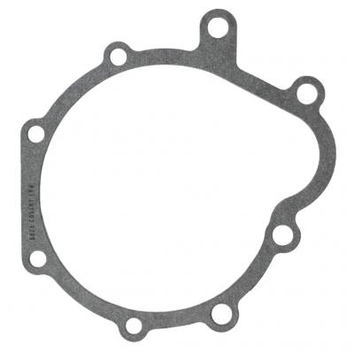 GASKET (Pack of 5)