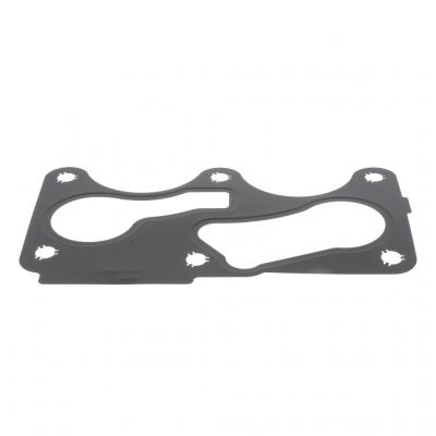 OIL FILTER BASE GASKET