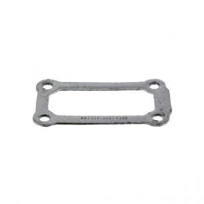 CHAMBER GASKET (Pack of 4)