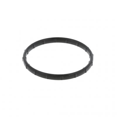 SEAL WATER PUMP (Pack of 5)