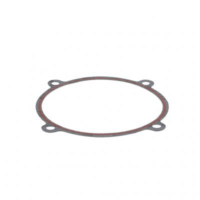 WATER PUMP GASKET (Pack of 4)