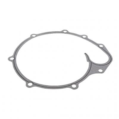 WATER PUMP GASKET (Pack of 5)