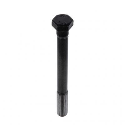 SCREW (Pack of 6)