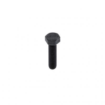 CAPSCREW (Pack of 4)