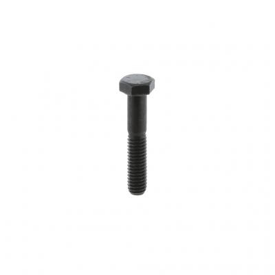 SCREW (Pack of 5)