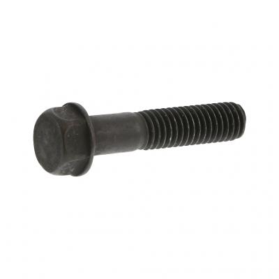 SCREW (Pack of 4)
