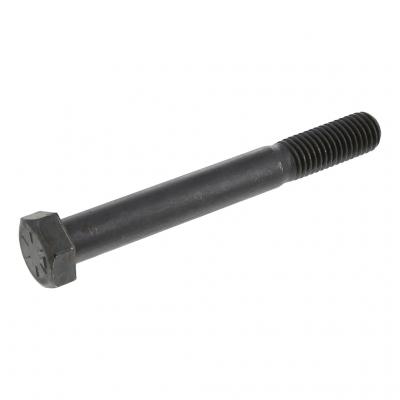 SCREW (Pack of 5)