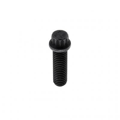 SCREW (Pack of 5)