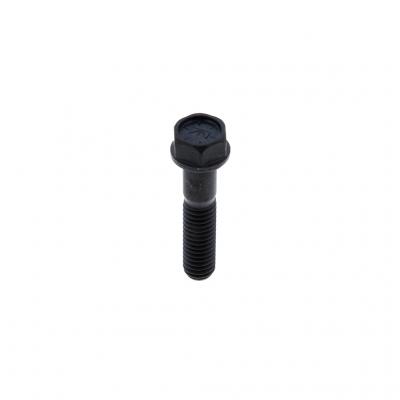 SCREW (Pack of 4)