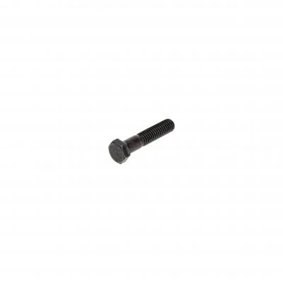SCREW (Pack of 6)