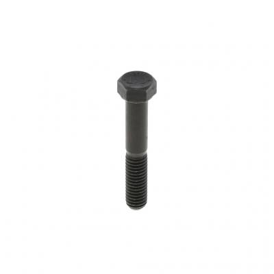 SCREW (Pack of 5)