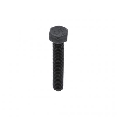 SCREW (Pack of 5)