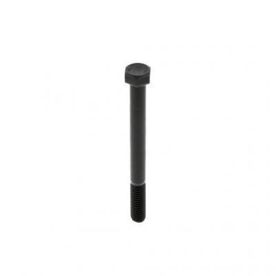 SCREW (Pack of 6)