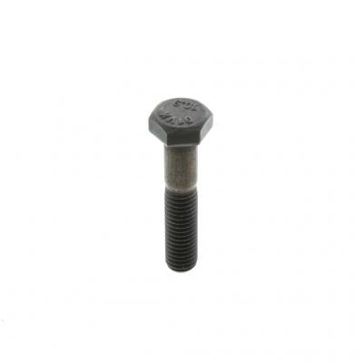 SCREW (Pack of 13)
